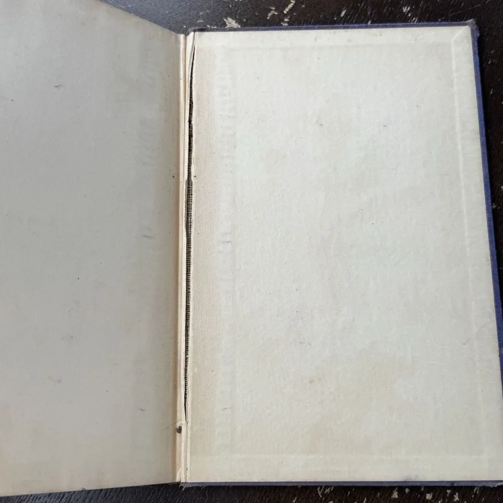 Standard Dictation Amanuensis Secretarial Gregg 1929 Hard Cover Text Book Course - Picture 8 of 12
